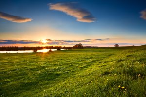 Government to consult on planned weather for early July.