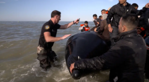 UK Government condemns “slashing” of migrant boats and offers compensation to owners.